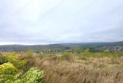 Teren de 774 mp, în Bârnova - 2