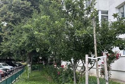 Apartament cu 2 camere decomandat în Pantelimon - 3