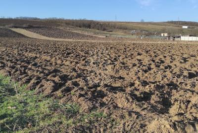 Teren agricol intravilan de 7800 mp, în Livada (Iclod) - 1