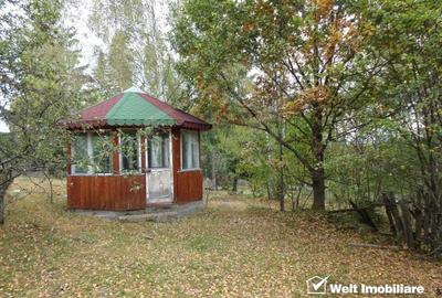 1.6 ha de padure cu poienita, parau la limita curtii, cabana pentru trei familii - 7