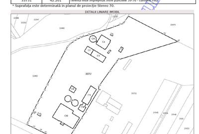 Teren Construcții intravilan de 42201 mp, în Reci - 3