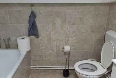 // DE INCHIRIAT MANSARDA IN VILA NOUA// ULTRACENTRAL// - 6