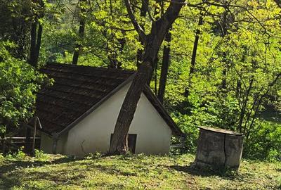 Casă cu 4 camere în Bobâlna - 3