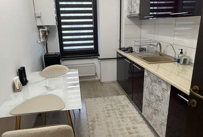 Apartament cu 2 camere decomandat în Palazu Mare - 5