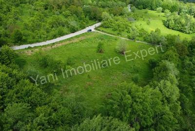 Teren de vanzare in comuna Corbi, jude? Arge?. - 15