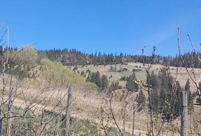 Vand casa ?i teren 3892m - 6