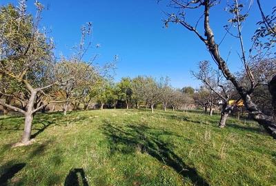 Teren de vanzare cu gaz la poarta in Gura Raului - 6