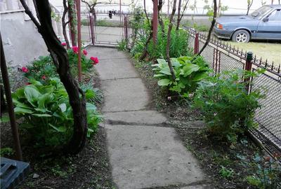 Casă cu 3 camere cu Teren 2335 Mp în Ohaba - 7