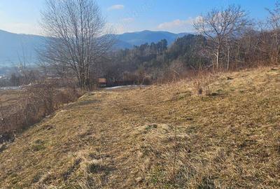 Teren de 1365 mp, în Sărata - 5