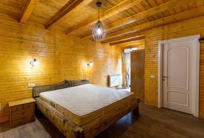 Casa de vacanta sau rezidentiala cu lac si ciubar Nucsoara-Arges - 14