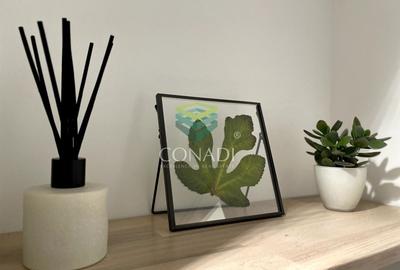 Garsoniera renovata modern str Nada Florilor - Teiul Domnei - 46