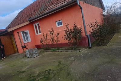 Casă individuală cu 3 camere cu Teren 2800 Mp în Gherteniș - 8