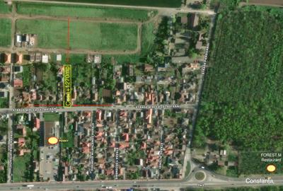 Casă individuală cu 4 camere cu Teren 1270 Mp în Valu lui Traian - 1