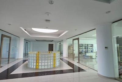 Splaiu Unirii teren 5000 mp Imobil S+P+5 Showroom, Clinica , Birouri , Hotel - 5