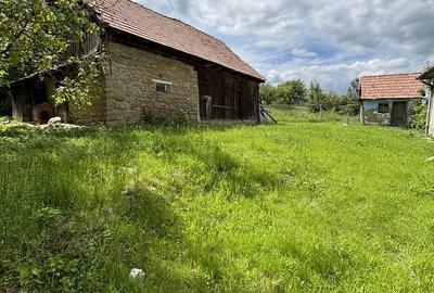 Teren de 1186 mp, în Feleacu