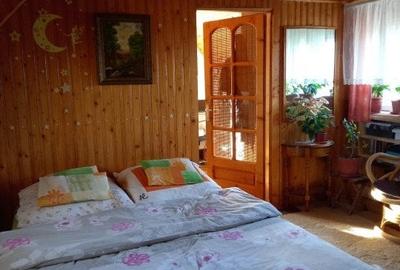 Casa cu 5.000 mp teren la E 60, zona Osorhei - 3