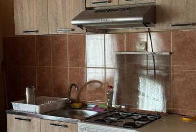 Duplex cu 5 camere cu Teren 250 Mp în Vârtop - 8