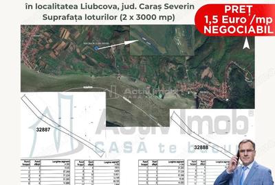 Teren extravilan 3.000 mp Liubcova, in Liubcova zona Cornet (Clisura Dunarii) - 2