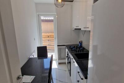 Apartament 2 camere 40 mp 56000 euro Lunca Cetatuii, IASI, SISTEM RATE DEZVOLTAT - 3