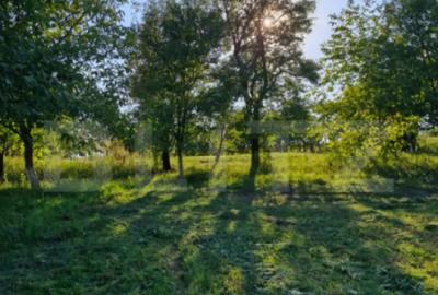 Casă cu 4 camere în Central - 1