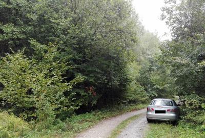 Teren Construcții intravilan de 5700 mp, în Râu de Mori - 4