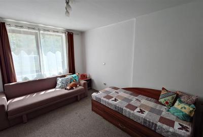 Proprietate cu vibe rural si potential turistic - 14