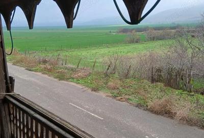 Casă cu Teren 2522 Mp în Cerna - 7