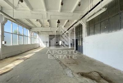 Hala depozitare sau productie, 470 mp, Zona Buziasului - 2