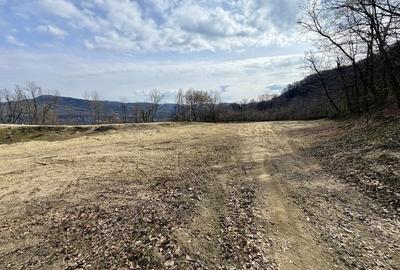 Spațiu comercial, în Păușești