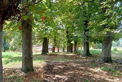 Cabana cu teren intravilan 18.449 mp Paingeni | 7,5 / - 1