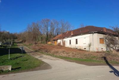 Vand Casa-Conac in Zgribesti -Timis - 3