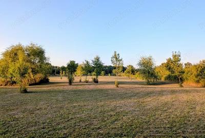 Teren de 12600 mp, în Ghiroda