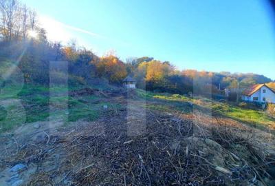 Teren intravilan 1628mp,cu panorama deosebita,in Feleacu - 11