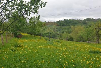 Teren intravilan, 1500 mp, Bran - 14