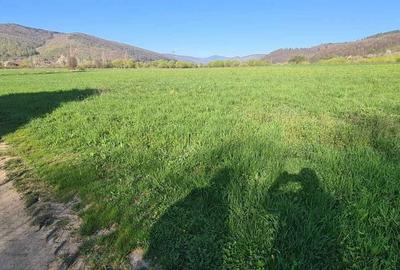 Spațiu comercial, în Central - 4