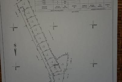 Spațiu comercial, în Dancaș - 3