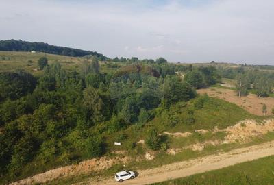 Teren de 1000 mp, în Sălicea - 6