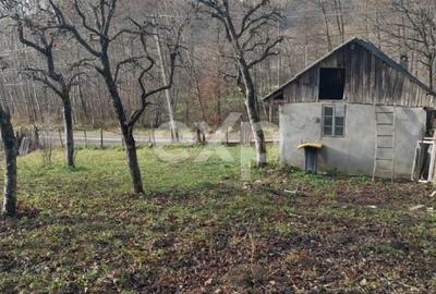 Teren Construcții intravilan de 2200 mp, în Râu Alb de Sus - 4