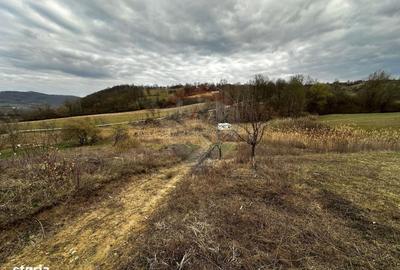 Spațiu comercial, în Copalnic - 2