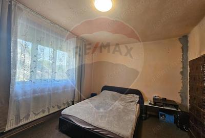 Casă cu 4 camere cu Teren 1371 Mp în Crivina - 10