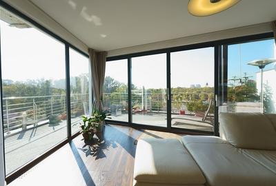 Panoramic View to Herastrau Lake, 5 rooms apartment, 0% commission - 13