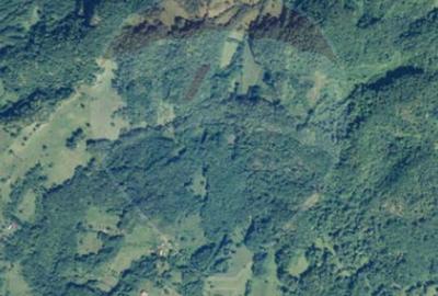 Teren Construcții intravilan de 3871 mp, în Vărmaga - 7