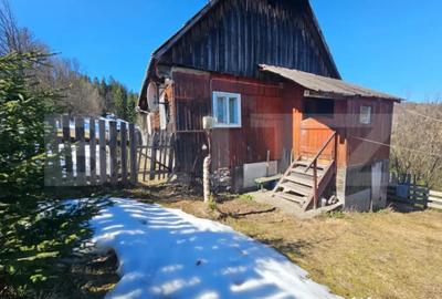 Teren în Galbena - 7