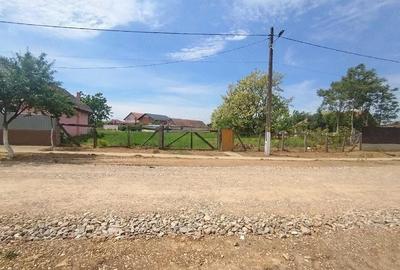 Teren de 1200 mp, în Sânnicolau Român