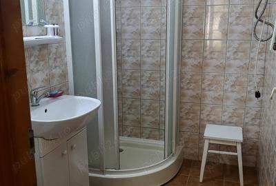 Vand casa vacanta lemn la Otvesti - 8