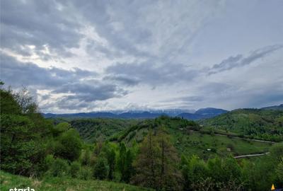 Teren de 6966 mp, în Fundata - 15