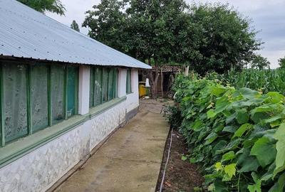 Casă cu 4 camere cu Teren 1900 Mp în Valea Popii - 10