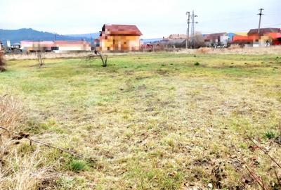 Teren de vanzare construibil in localitatea ICLOD - 3