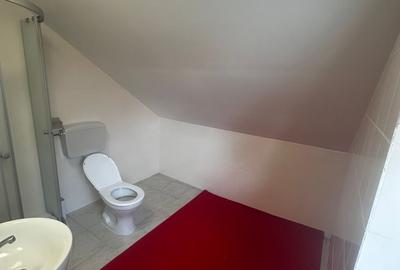 Casă individuală cu 5 camere cu Garaj în Copou - 11