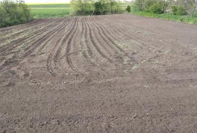 Casă cu 7 camere cu Teren 2300 Mp în Costieni - 2